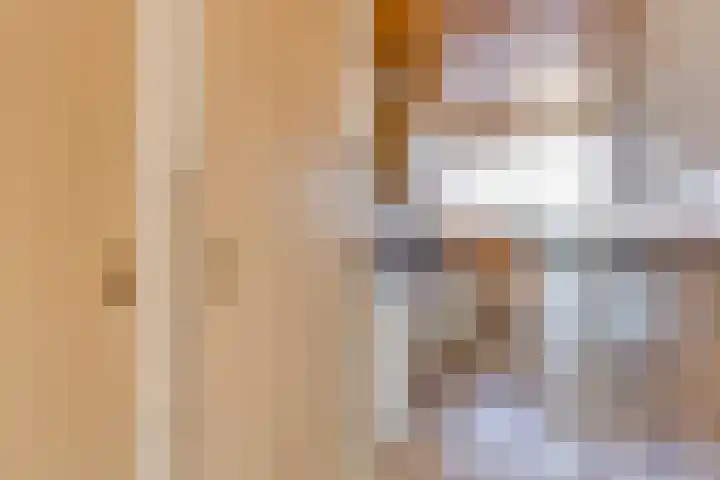 Capelseweg 3 A 's Gravenmoer thumbnail 9