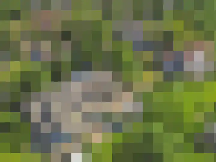 Capittenweg 36 a Blaricum thumbnail 43