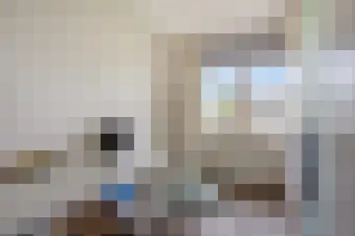 Carbasiusstraat 32 Purmerend thumbnail 22