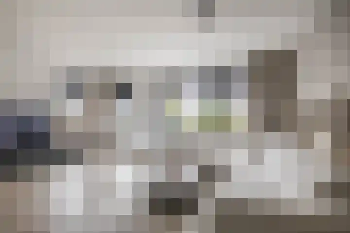 Carbeel 2 Lemmer thumbnail 10