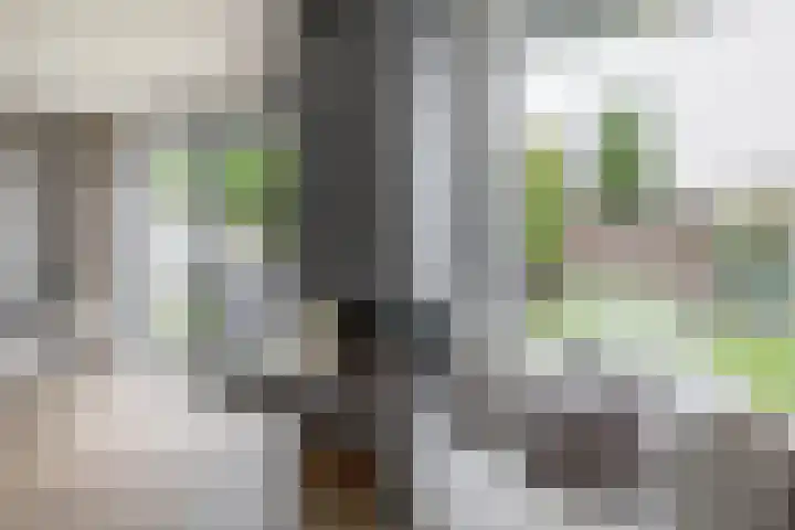 Carbeel 2 Lemmer thumbnail 18