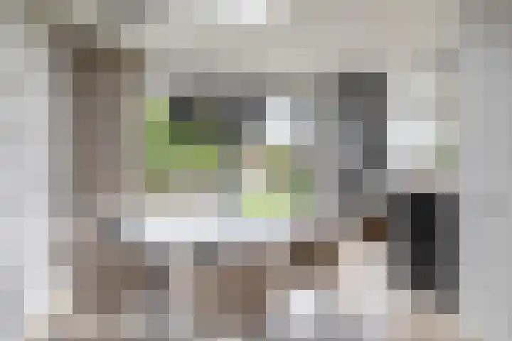 Carbeel 2 Lemmer thumbnail 22