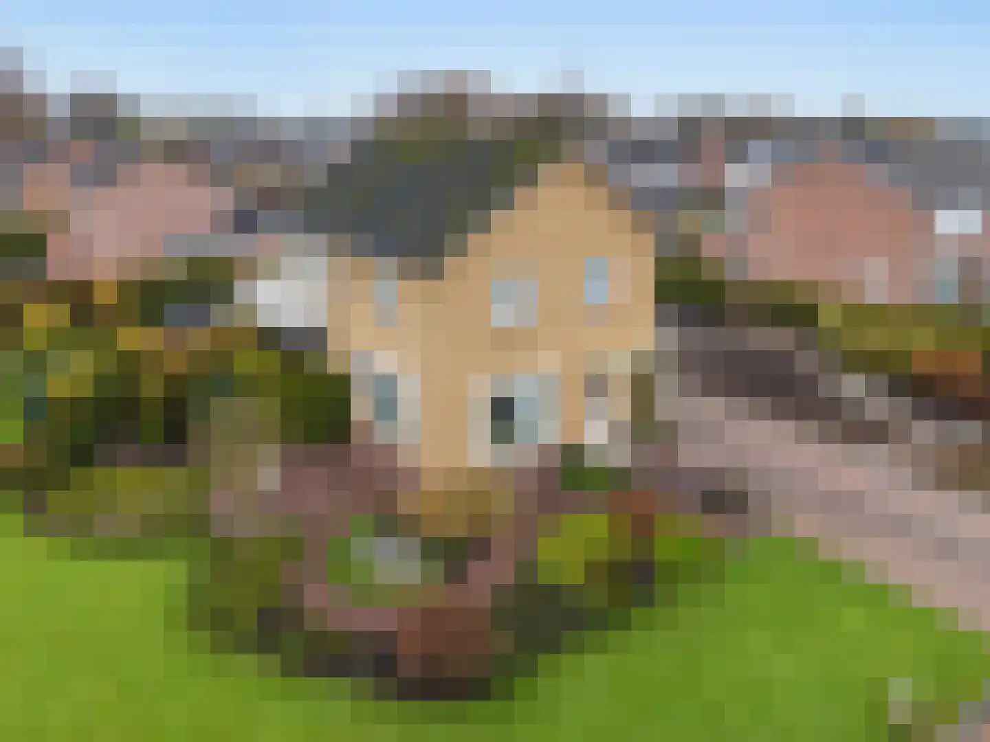 Carboonlaan 6 in Nieuw-Schoonebeek