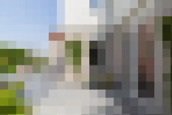 Cardium 25 Kamperland thumbnail 10