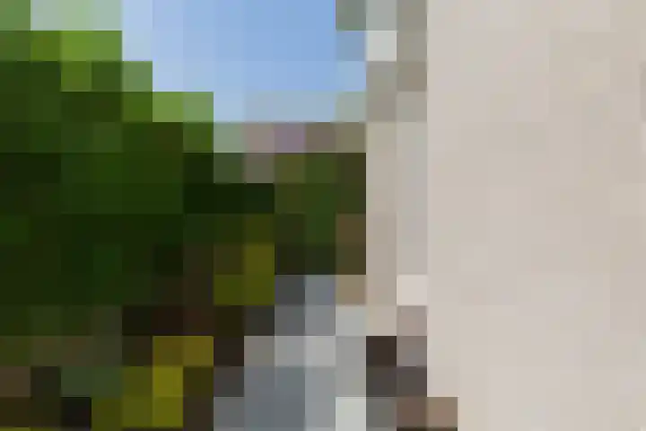 Cardium 25 Kamperland thumbnail 12