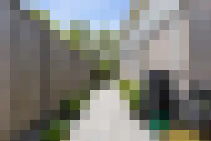 Cardium 25 Kamperland thumbnail 13