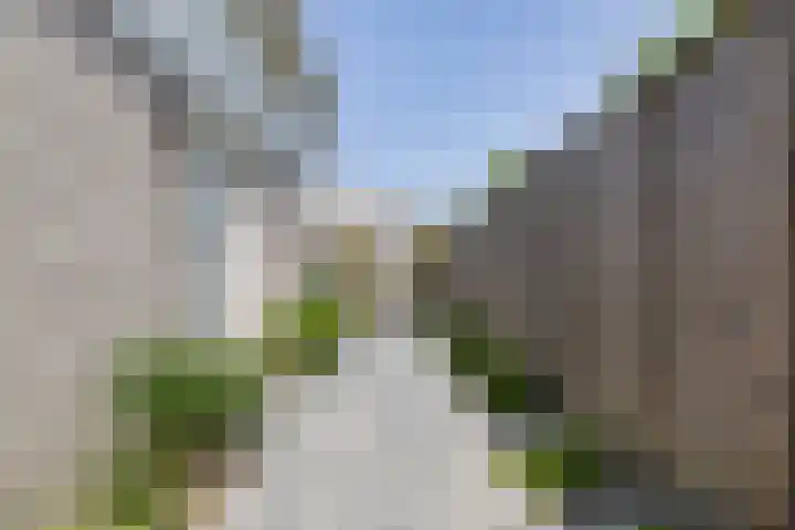Cardium 25 Kamperland thumbnail 14