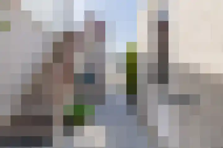 Cardium 25 Kamperland thumbnail 17