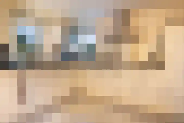Cardium 25 Kamperland thumbnail 30