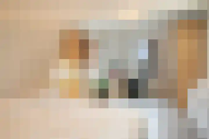 Cardium 25 Kamperland thumbnail 47