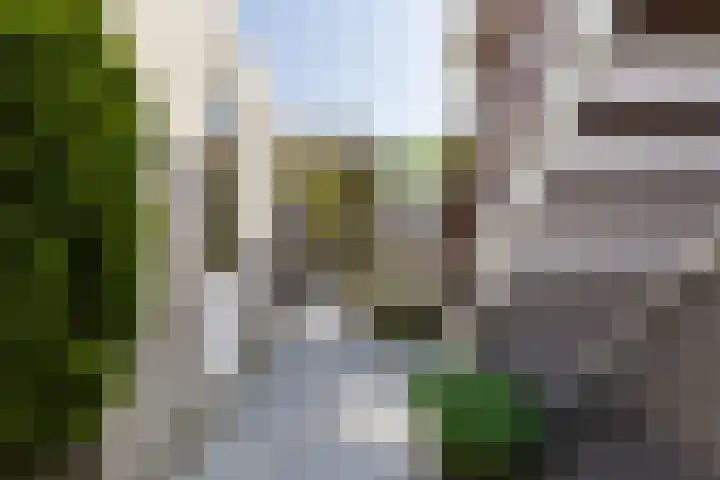 Cardium 25 Kamperland thumbnail 59