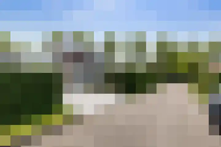 Cardium 25 Kamperland thumbnail 6
