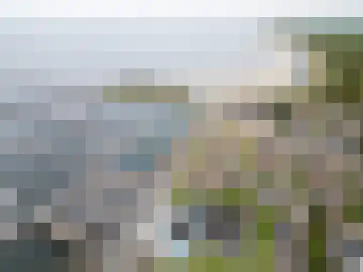 Cardium 25 Kamperland thumbnail 70