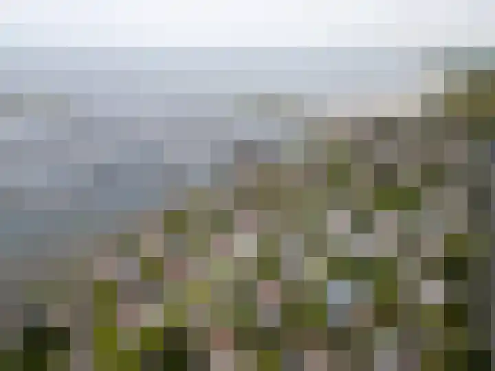 Cardium 25 Kamperland thumbnail 71