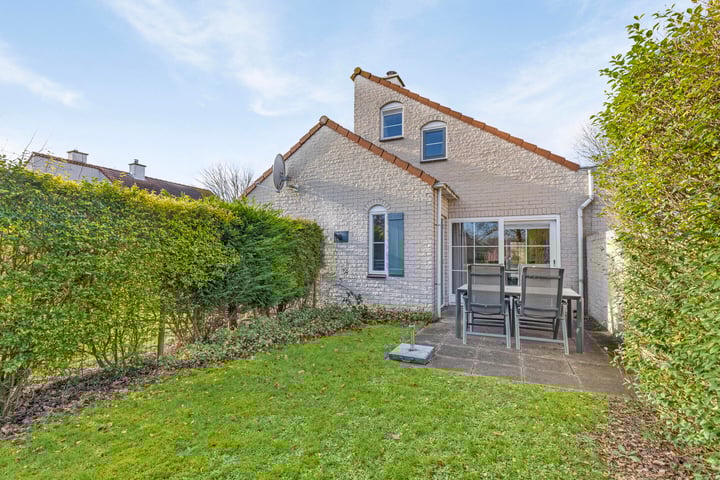 Cardium 40 in Brouwershaven foto