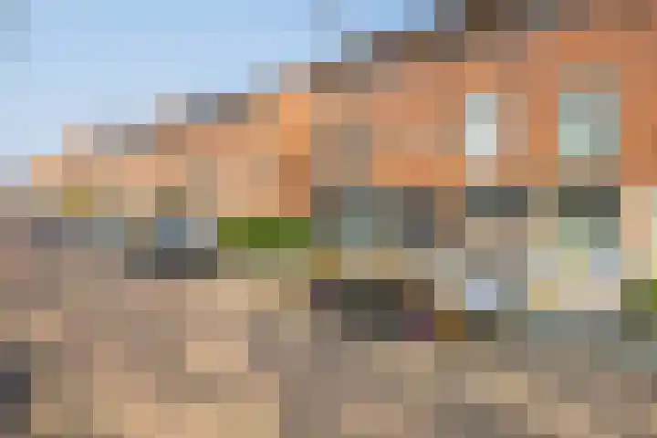 Carel Willinksingel 324 Rotterdam thumbnail 29