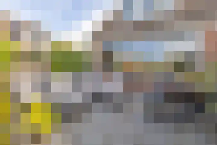 Carillon 2 Middelburg thumbnail 21