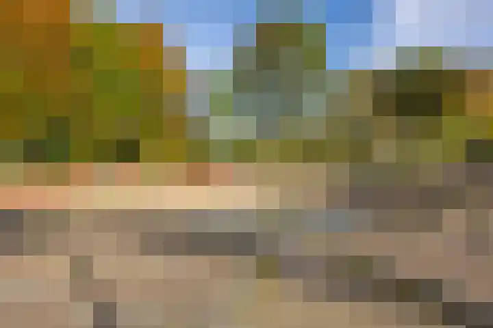 Carillon 2 Middelburg thumbnail 38
