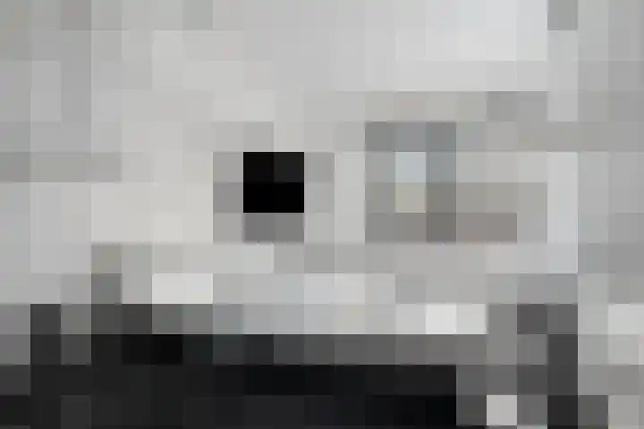 Carl Rensingpad 15 Deventer thumbnail 12