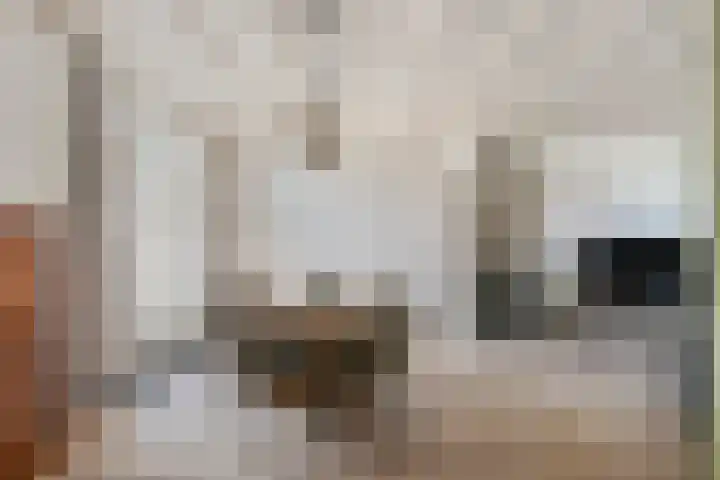 Carnalaan 4 Tolkamer thumbnail 10