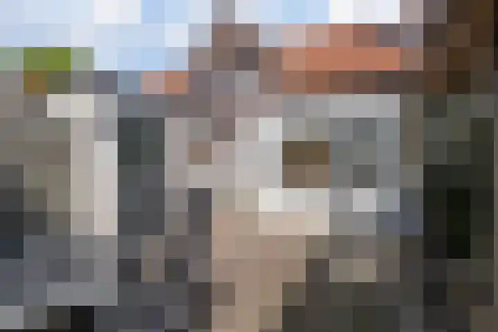 Carnalaan 4 Tolkamer thumbnail 22