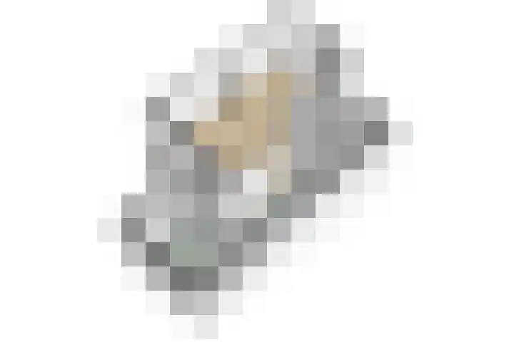 Carnalaan 4 Tolkamer thumbnail 36