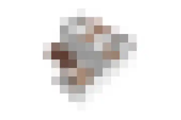 Carnalaan 4 Tolkamer thumbnail 40