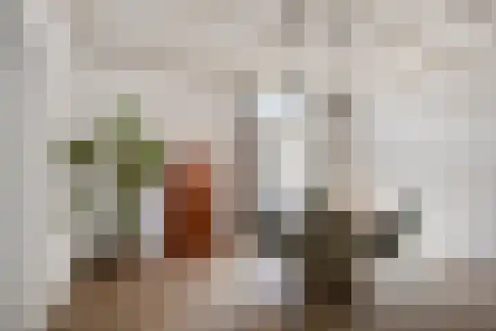 Carnalaan 4 Tolkamer thumbnail 9