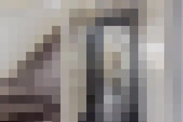 Carneool 31 Drachten thumbnail 11