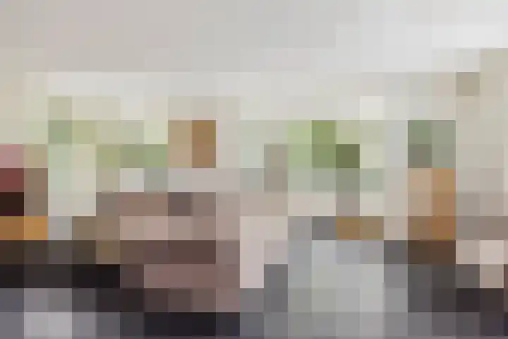 Carneool 31 Drachten thumbnail 12