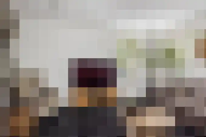 Carneool 31 Drachten thumbnail 13