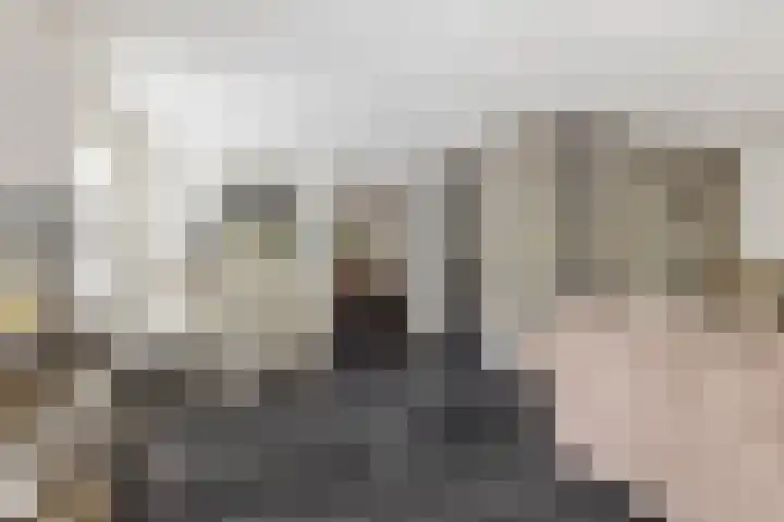 Carneool 31 Drachten thumbnail 15