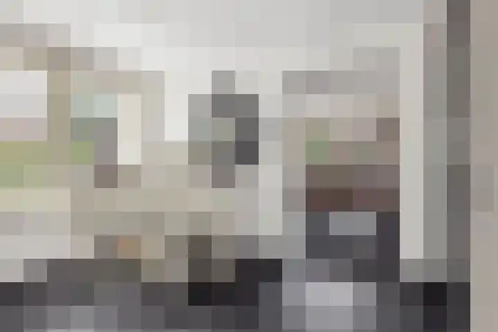 Carneool 31 Drachten thumbnail 16