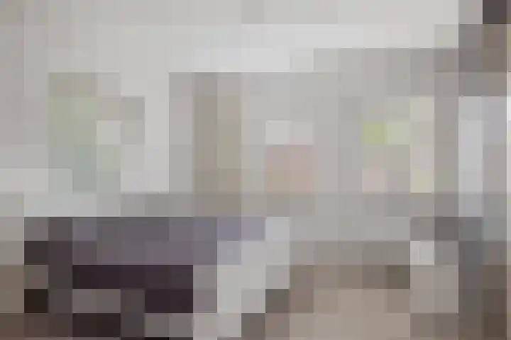 Carneool 31 Drachten thumbnail 23