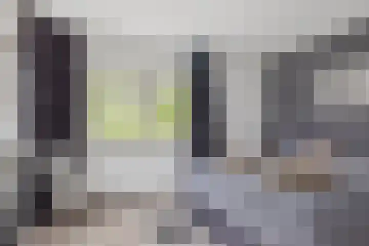 Carneool 31 Drachten thumbnail 25