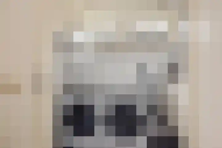 Carneool 31 Drachten thumbnail 29