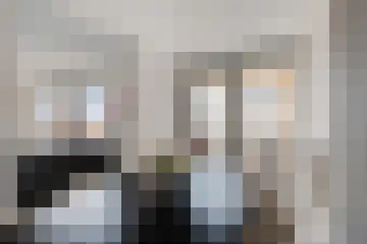 Carneool 31 Drachten thumbnail 39