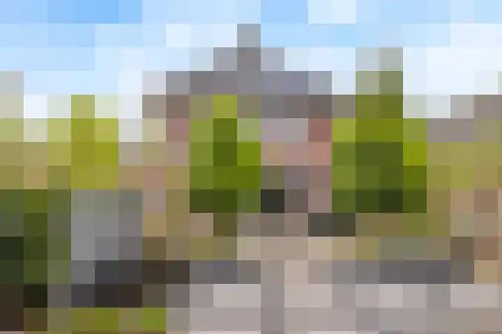 Carneool 31 Drachten thumbnail 4