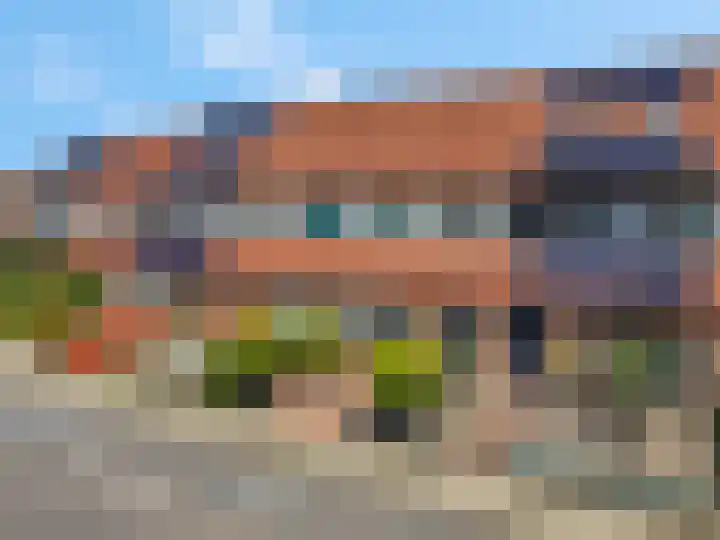 Carneool 31 Drachten thumbnail 41