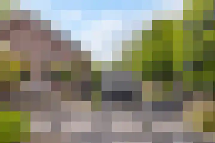 Carneool 31 Drachten thumbnail 41