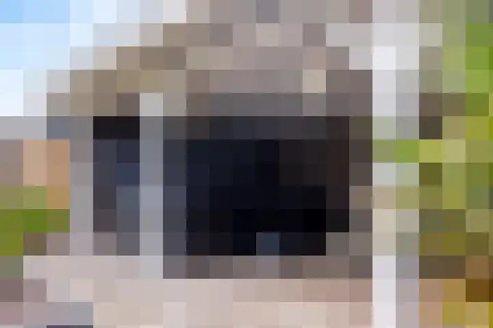 Carneool 31 Drachten thumbnail 43