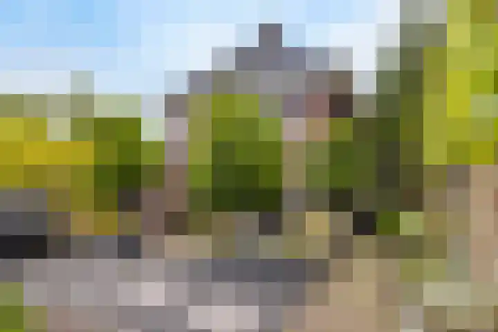 Carneool 31 Drachten thumbnail 47