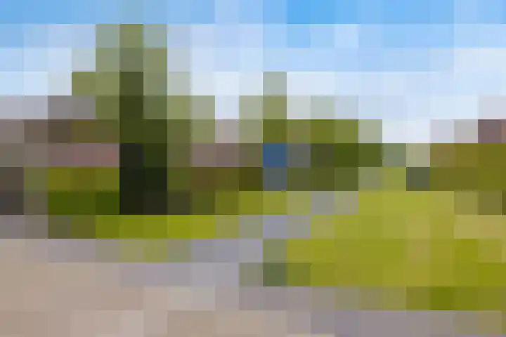 Carneool 31 Drachten thumbnail 52