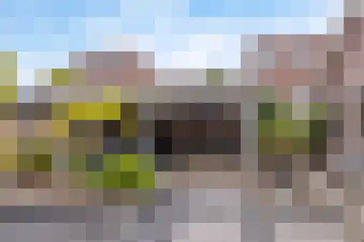 Carneool 31 Drachten thumbnail 6