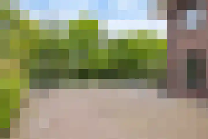 Carneool 31 Drachten thumbnail 8