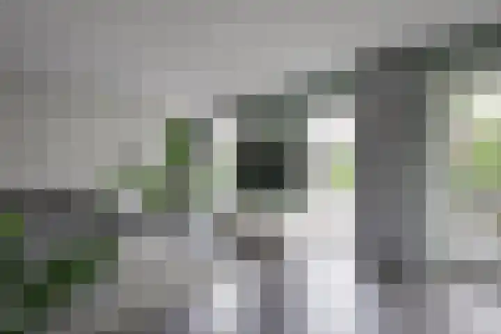 Foto van Caroline Hoosemans-van Trigt