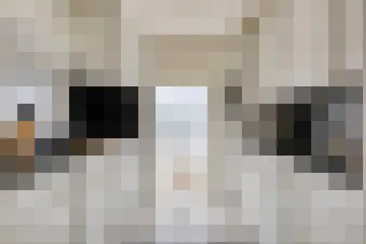 Carterlaan 36 Goes thumbnail 11