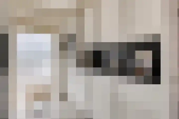 Carterlaan 36 Goes thumbnail 12