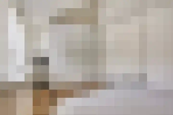Carterlaan 36 Goes thumbnail 16