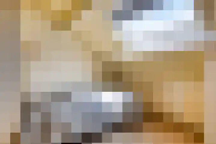 Carterlaan 36 Goes thumbnail 27